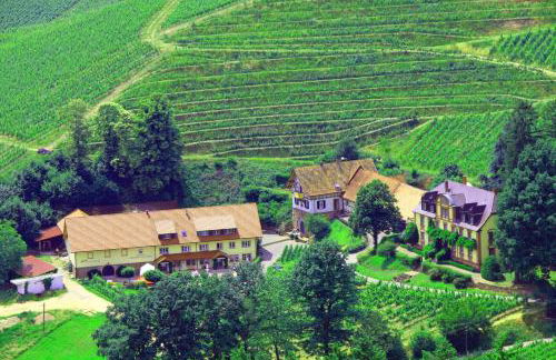 Wein Lodge Durbach - Josephsberg 2 - Foto 12