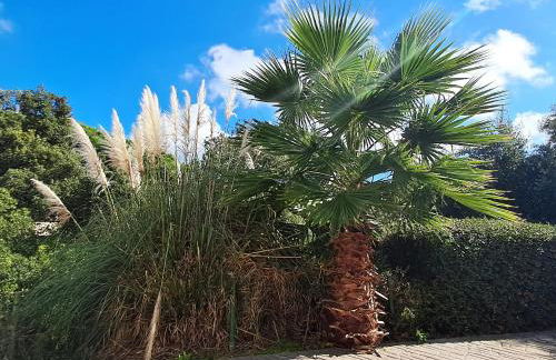 Sea view, Wonderful pool, Nature, Peaceful & AC - Foto 17