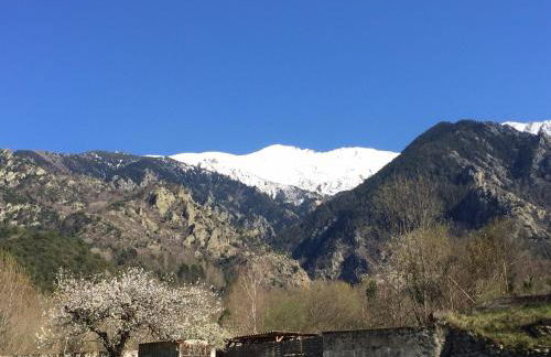 SARL l'Alzina - Foto 46