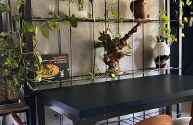 Brava Garden MaxHaus - Foto 16