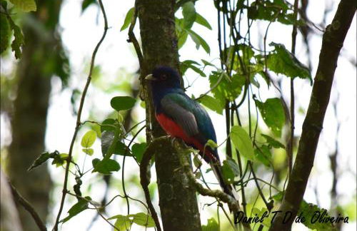 Chácara paraíso dá paz - Foto 10