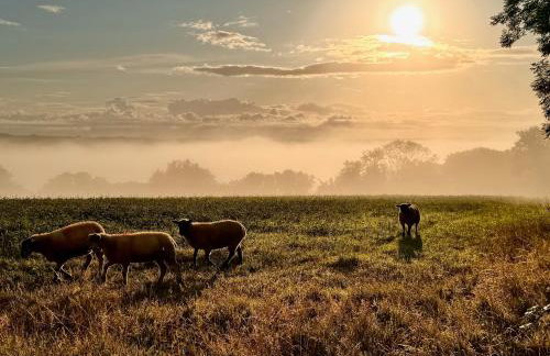 Torridge House Cottages - Foto 26