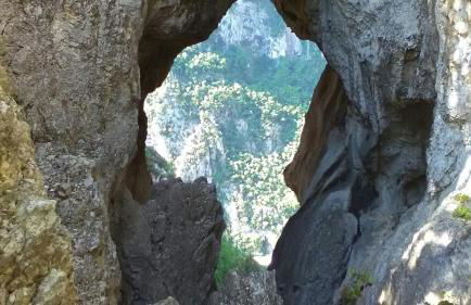 Oasi delle Gazze - Foto 44