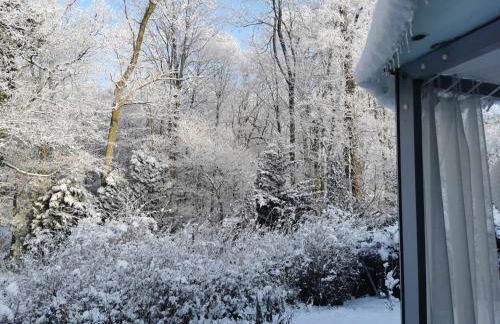 Nordic Bo- strandnahe, gemütliche Ferienhaushälfte in Schwedeneck, Hunde herzlich Willkommen - Foto 38