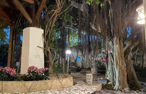 Al giardino - Photo 11
