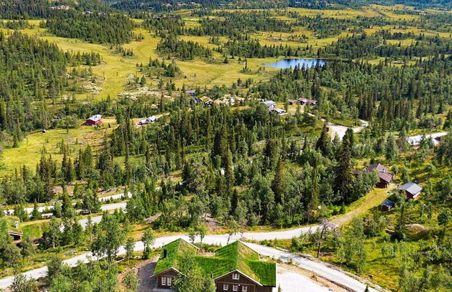 10 Person Holiday Home in Nesbyen-by Traum - Photo 32