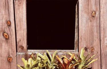 Sítio em área rural, ao pé da Serra Gaúcha. - Foto 25