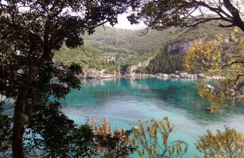 Carpe Diem Moursia Studio - Foto 43