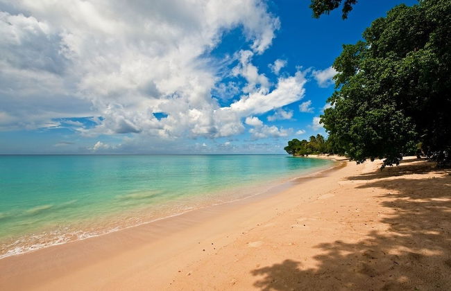 Claridges 1 3 Bedroom Home - Foto 23