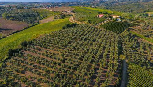 Agriturismo Luggiano - Foto 1