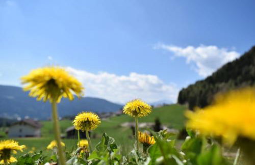 Tötscherhof - Foto 21