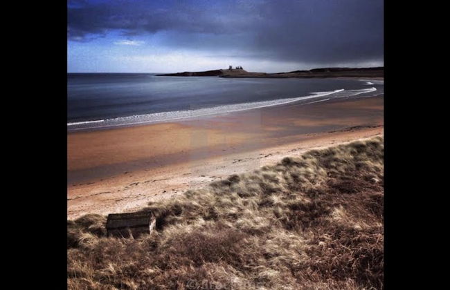 The Orchard House - Foto 43