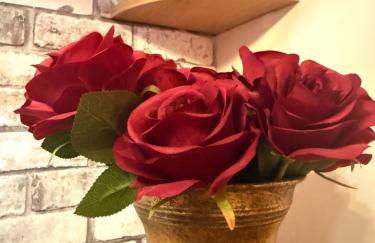 La Belle et le Nooki - Foto 14