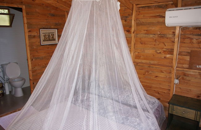 Shiva Camp - Foto 20