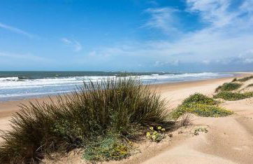 FINCA RIODIEL - Foto 77