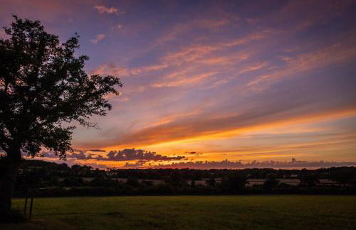 Domaine Bonneblond - Foto 20