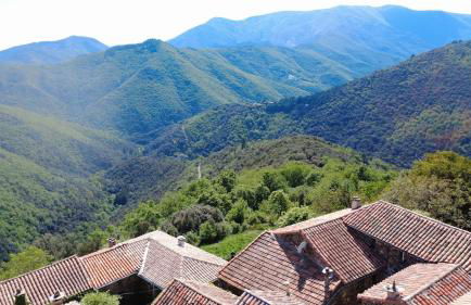 Le Châtaignier - Foto 43