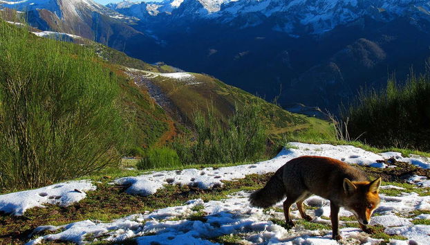 Parque Natural de Somiedo nevado