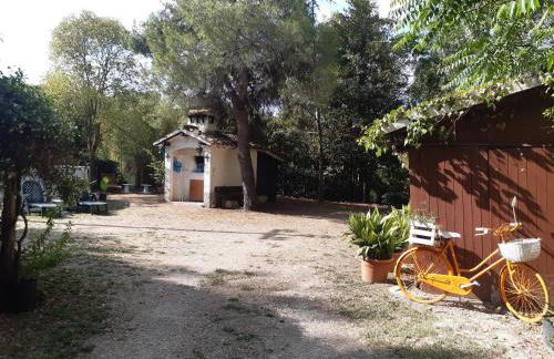 Boschetto sul mare - Foto 8