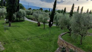 La Casa delle Rose - Foto 5, Garden, Garden view