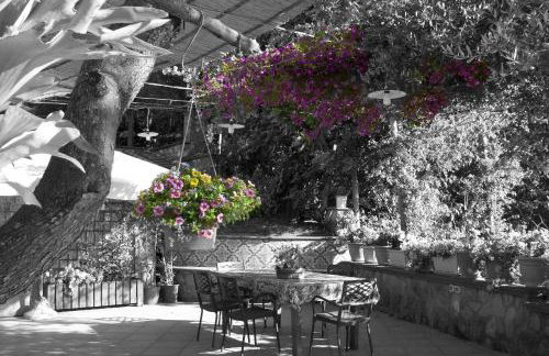 Tenuta Camporosso - Photo 20