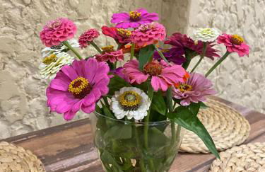 Apartamentos La Casa De Allá 1 - Foto 9