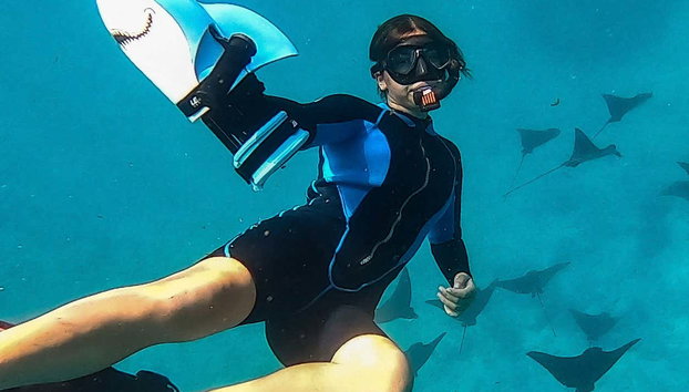 Tahiti Power Snorkelling - Photo 3, Have an incredible experience in Tahiti!