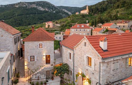 Dvor Pitve Villas - Photo 46