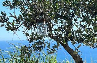 Apartment Bella Vista Poggi 180 Grad Fantastischer Meerblick by Interhome - Foto 22