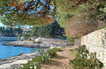 Apartment Adria Relax with private heated pool - Photo 45