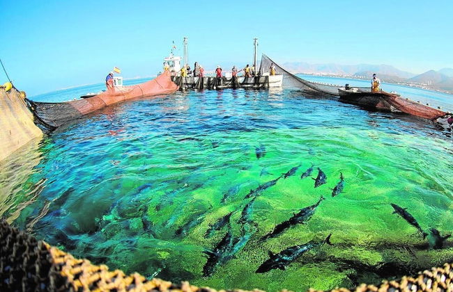 Apartament In Fron Of The Sea - Foto 22