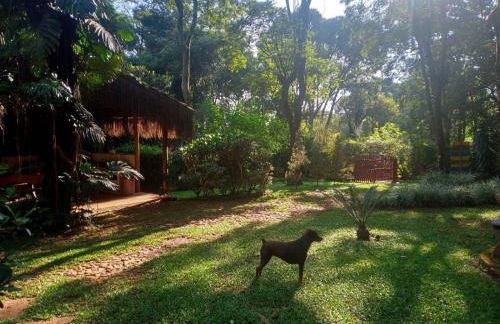 Chalé Cores da Mata - Foto 59