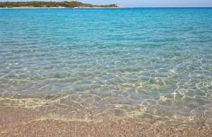 Dimora Mimosa - Baia Delle Mimose - Foto 6