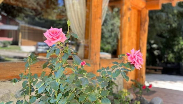 Natur Haus - Foto 2, Habitación