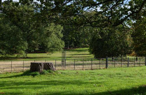 Wyvern House - Foto 38