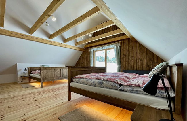 V Chov nad Jizerou Lvv033 - Photo 21