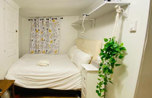 Beacon Hill Vintage Studio Near MGH and Downtown - Photo 10