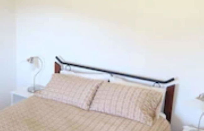 The Black Sparrow - Photo 21