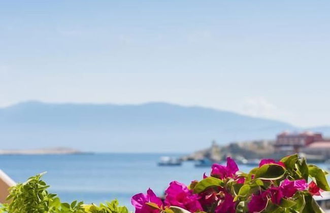 Spitakia Halki - Foto 6