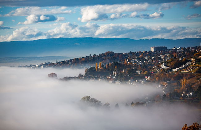 domaine du deven - Foto 65