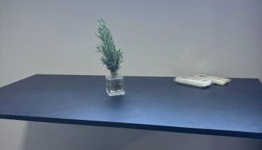 Loft - Campeche - Photo 5