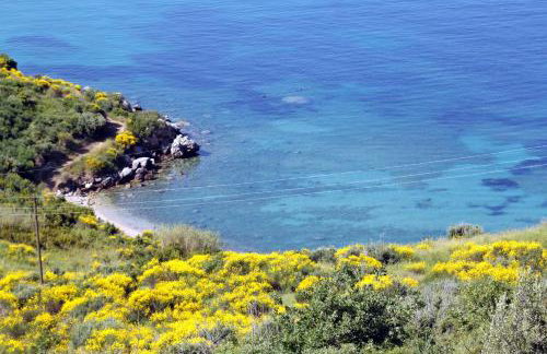 Apartments with parking space Plat, Dubrovnik - 4776 - Foto 17