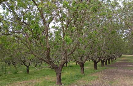 Casas Rurales Cortijo la Cañada - Photo 64
