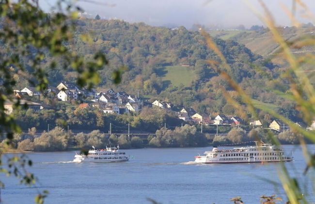 Apartment Pinot Noir - Foto 12