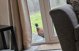 Oak Tree Lodge with Hot Tub near Alton Towers - Foto 5