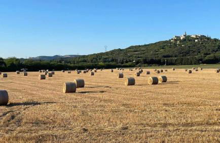 Chez Mi-Chèle - Foto 20