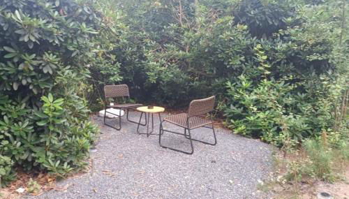 Ferienhaus Waldlicht 3 - Foto 4