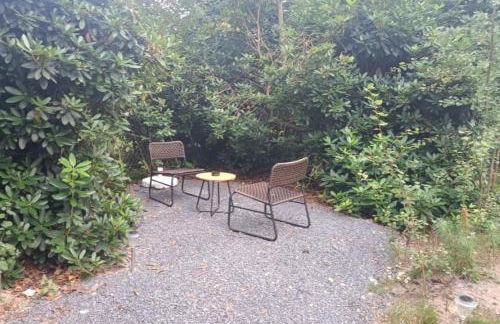 Ferienhaus Waldlicht 3 - Foto 4