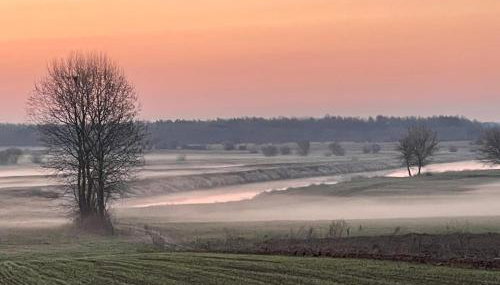 Skrzydła Biebrzy- Eco Cottage nad rzeką Narwią - Biebrza NP - Foto 4