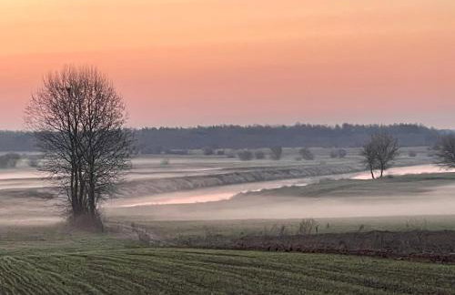 Skrzydła Biebrzy- Eco Cottage nad rzeką Narwią - Biebrza NP - Foto 4